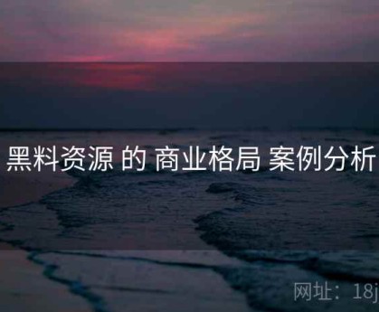 黑料资源 的 商业格局 案例分析