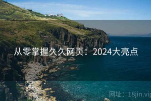 从零掌握久久网页：2024大亮点