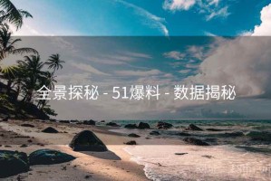 全景探秘 - 51爆料 - 数据揭秘