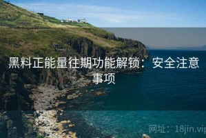 黑料正能量往期功能解锁：安全注意事项