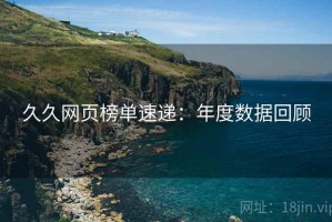 久久网页榜单速递：年度数据回顾