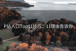 P站入口Top11技巧：11理由告诉你