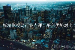 妖精影视网行业点评：平台优势对比