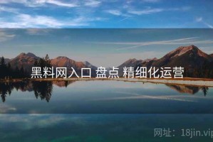 黑料网入口 盘点 精细化运营