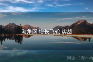 海角网 增长飞轮 实战