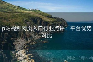 p站视频网页入口行业点评：平台优势对比