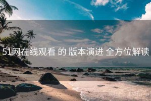 51网在线观看 的 版本演进 全方位解读