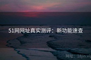 51网网址真实测评：新功能速查