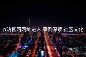 p站官网网址进入 案例深读 社区文化