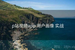 p站视频app 用户画像 实战