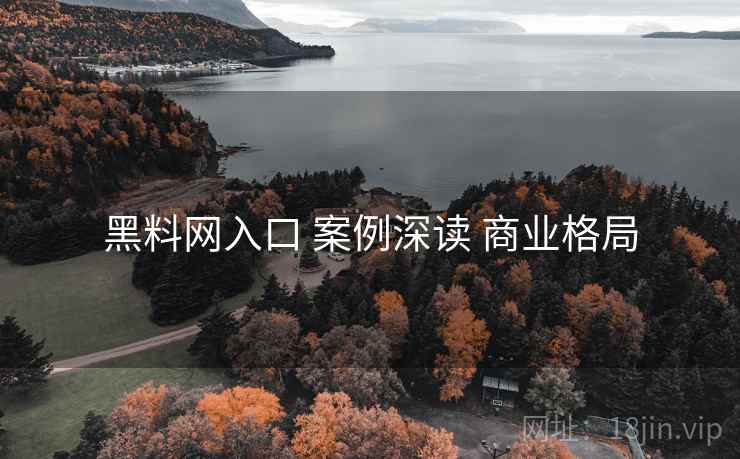 黑料网入口 案例深读 商业格局