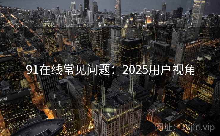 91在线常见问题：2025用户视角