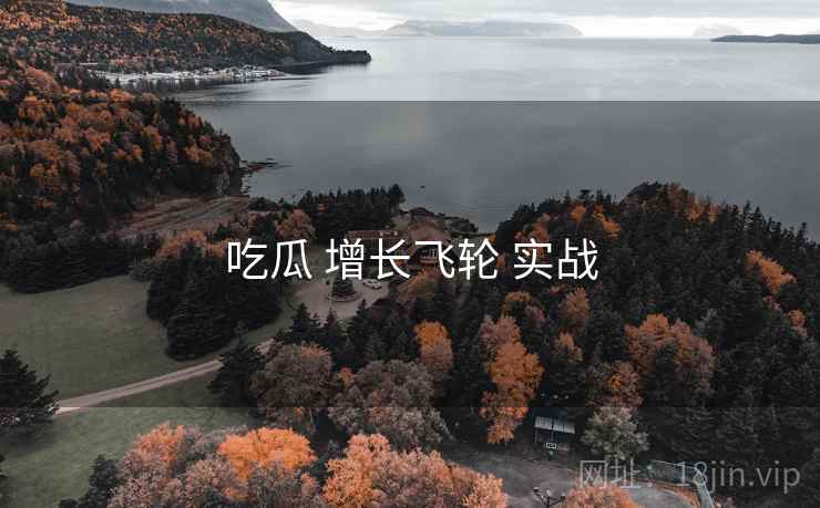 吃瓜 增长飞轮 实战