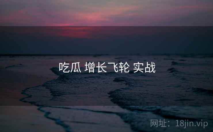 吃瓜 增长飞轮 实战
