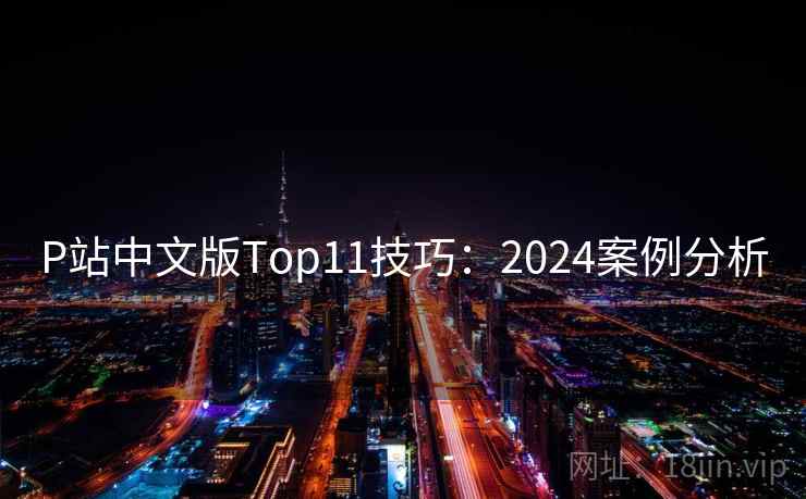 P站中文版Top11技巧：2024案例分析