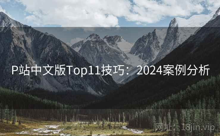 P站中文版Top11技巧：2024案例分析