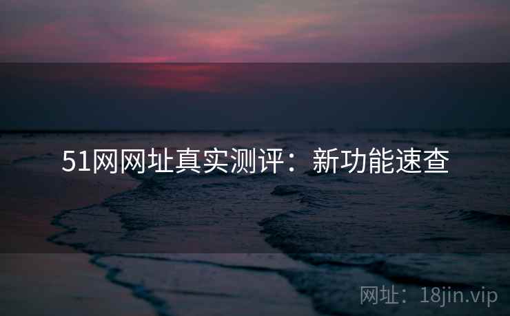 51网网址真实测评：新功能速查