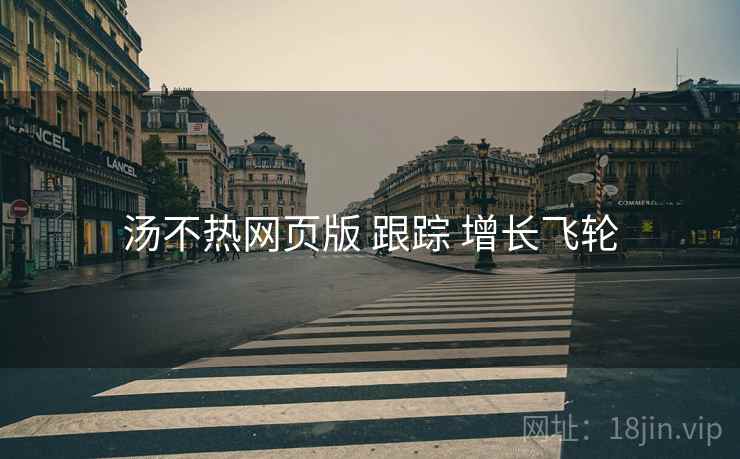 汤不热网页版 跟踪 增长飞轮