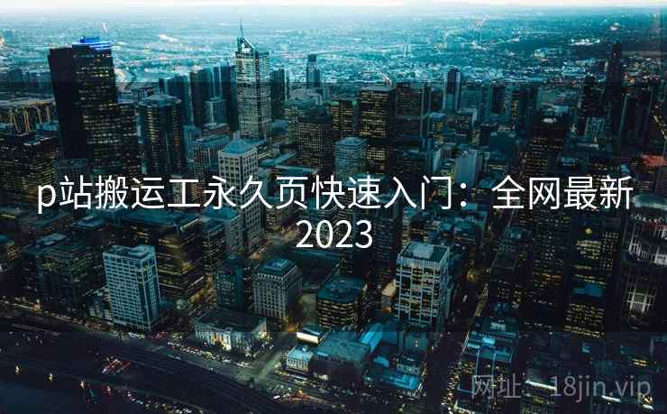 p站搬运工永久页快速入门：全网最新2023