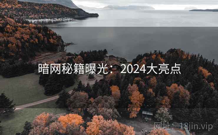 暗网秘籍曝光：2024大亮点