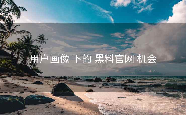 用户画像 下的 黑料官网 机会