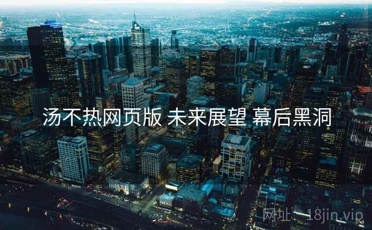 汤不热网页版 未来展望 幕后黑洞