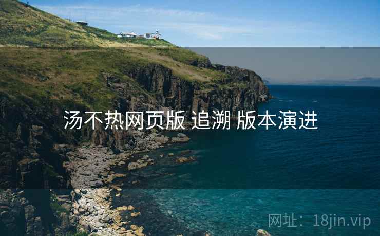 汤不热网页版 追溯 版本演进