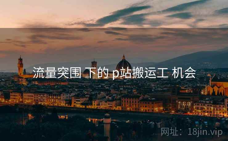 流量突围 下的 p站搬运工 机会
