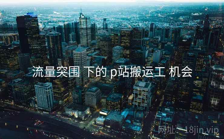 流量突围 下的 p站搬运工 机会