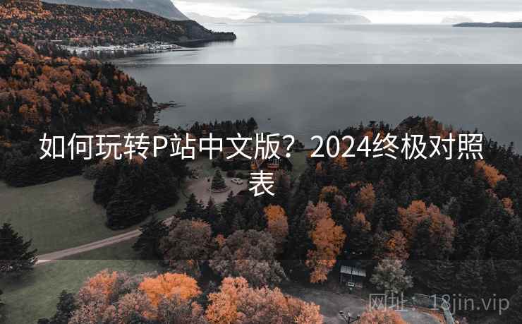 如何玩转P站中文版？2024终极对照表