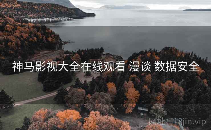神马影视大全在线观看 漫谈 数据安全