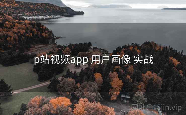 p站视频app 用户画像 实战