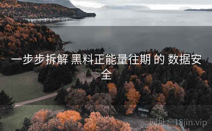 一步步拆解 黑料正能量往期 的 数据安全